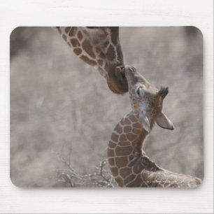 Mousepad Girafa, Kenya, África