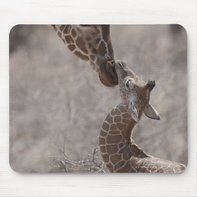 Mousepad Girafa, Quênia, África (Frente)