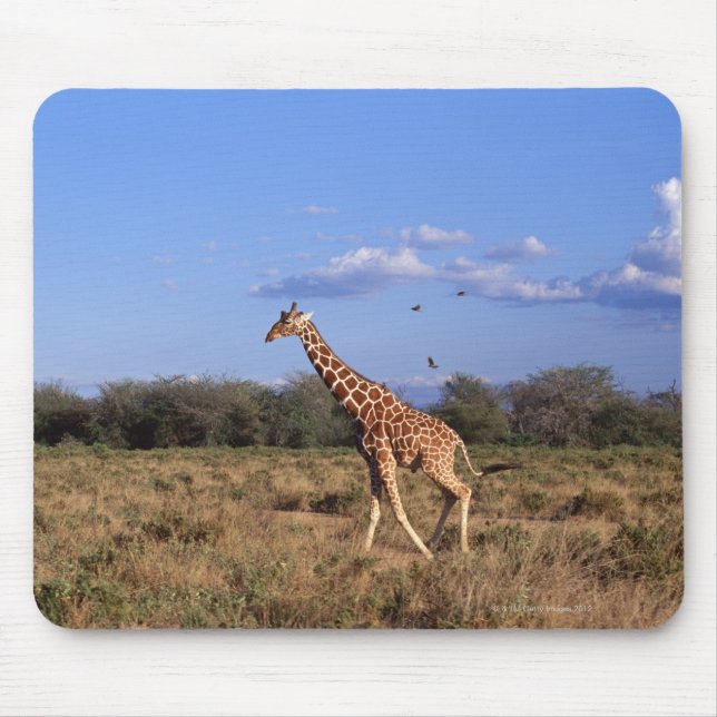 Mousepad Girafa Reticulada 2 (Frente)