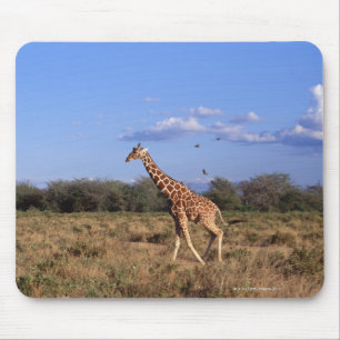 Mousepad Girafa Reticulated