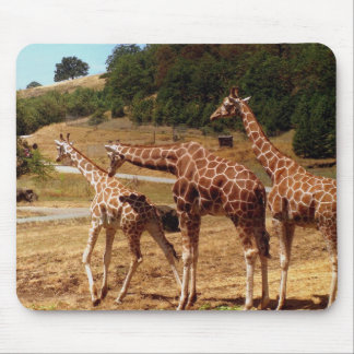 Mousepad Girafas