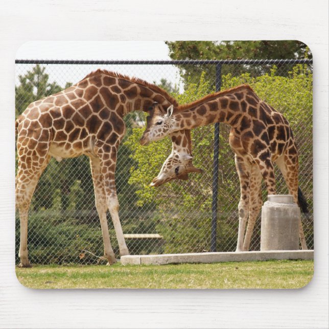 Mousepad girafas do estiramento (Frente)