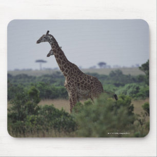 Mousepad Girafas em África