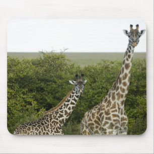 Mousepad Girafas em Kenya, África 2