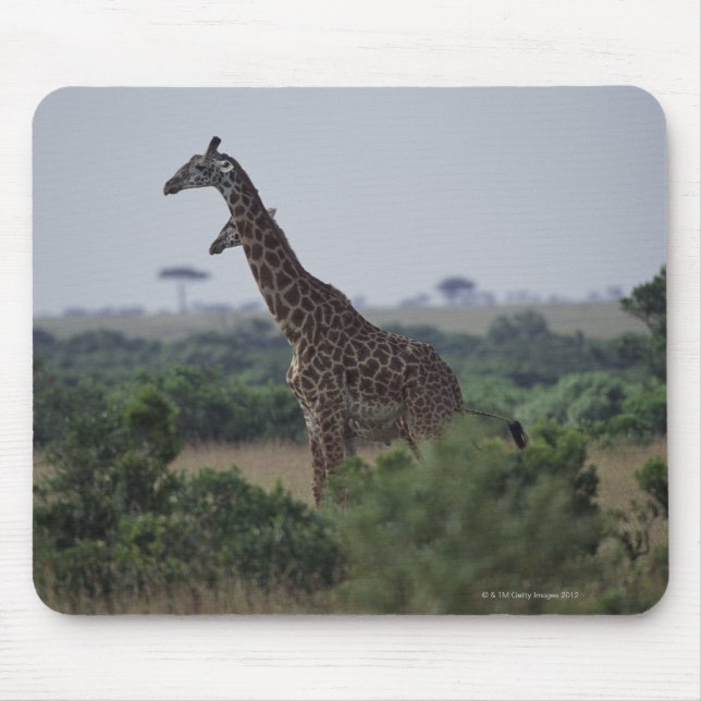 Mousepad Girafas na África (Frente)