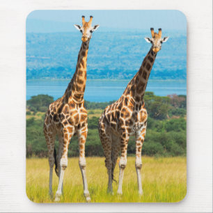 Mousepad Girafas na Savana, Uganda