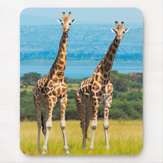 Mousepad Girafas na Savana, Uganda (Frente)