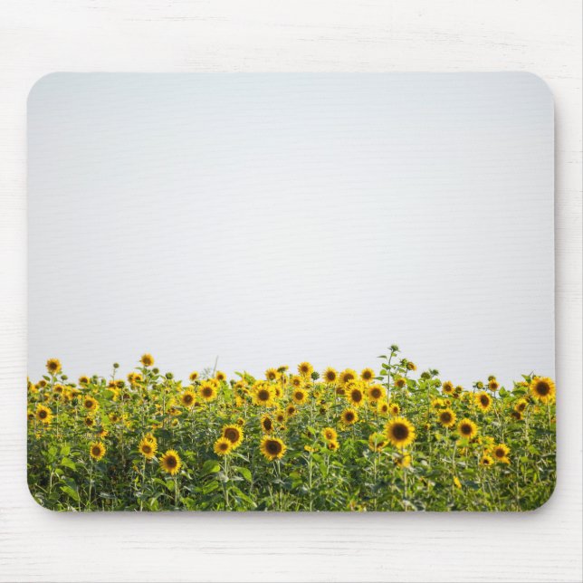 Mousepad Girassóis em campo (Frente)