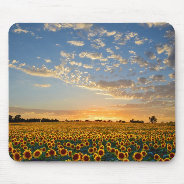 Mousepad Girassóis no Sunset (Frente)