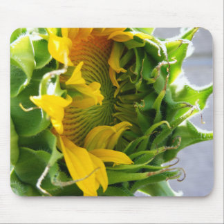 Mousepad Girassol