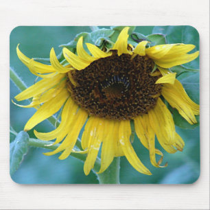Mousepad Girassol 2