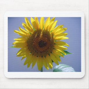 Mousepad Girassol Amarelo