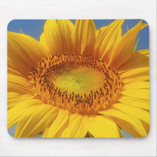 Mousepad Girassol Amarelo