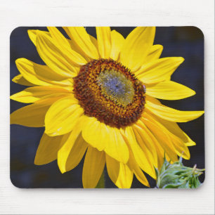 Mousepad Girassol amarelo-claro