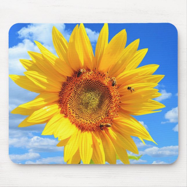 Mousepad Girassol Amarelo e Abelhas no Pad do Mouse Azul Sk (Frente)