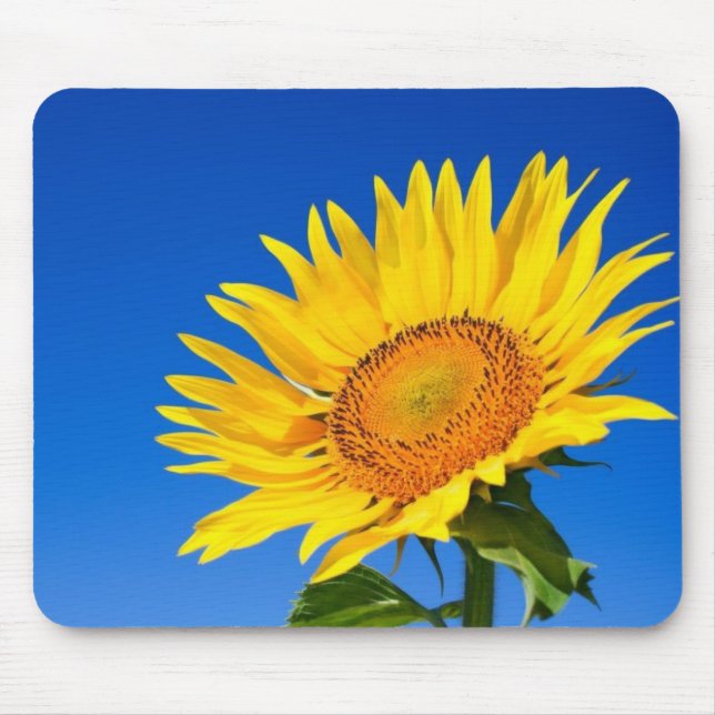 Mousepad Girassol bonito (Frente)