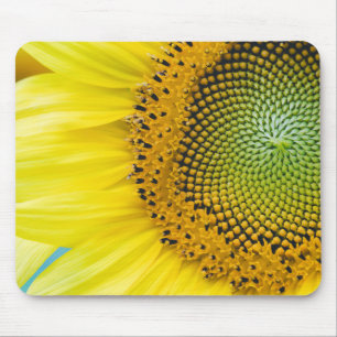 Mousepad Girassol brilhante