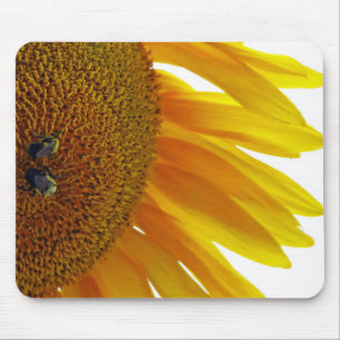 Mousepad Girassol com mamangabas