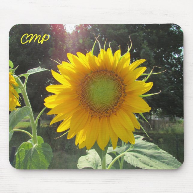 Mousepad Girassol de Verão com suas iniciais (Frente)
