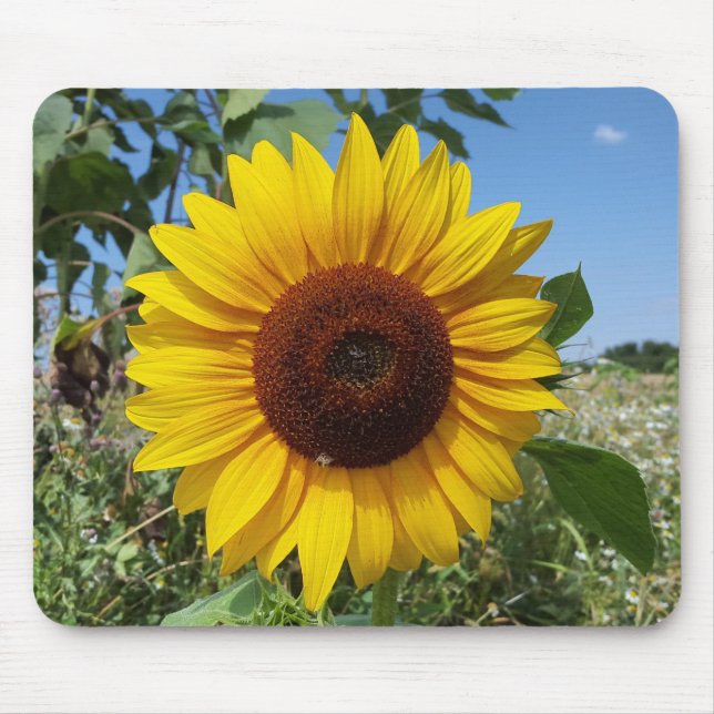 Mousepad Girassol Ensolarado (Frente)