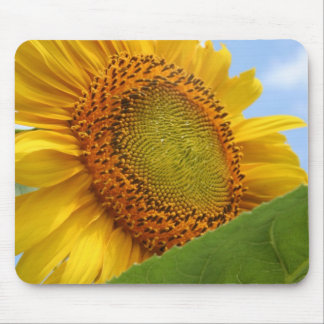 Mousepad Girassol ensolarado