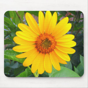 Mousepad Girassol novo