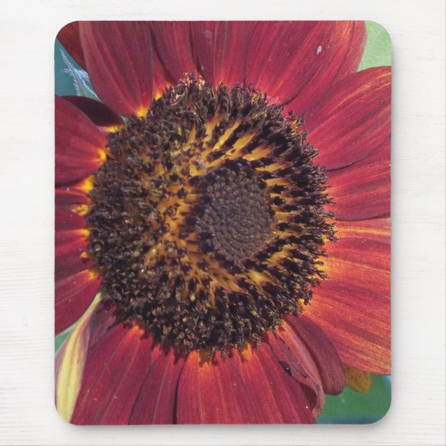 Mousepad Girassol vermelho (Frente)