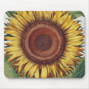 Mousepad Girassol Vintage Damask Flower Art