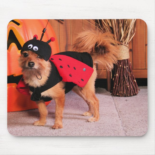 Mousepad Gizzy - YorkiePom - Burbridge (Frente)