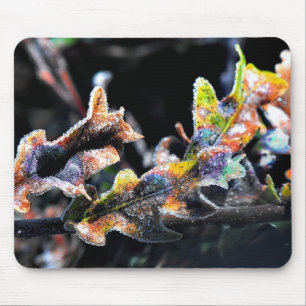 Mousepad Glacé de fadas de carvalho