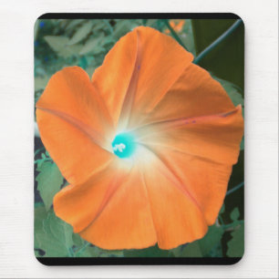 Mousepad Glória da Manhã Laranja