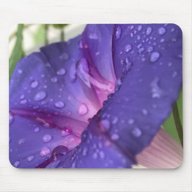 Mousepad Glória-da-manhã Roxa Close-up (Frente)