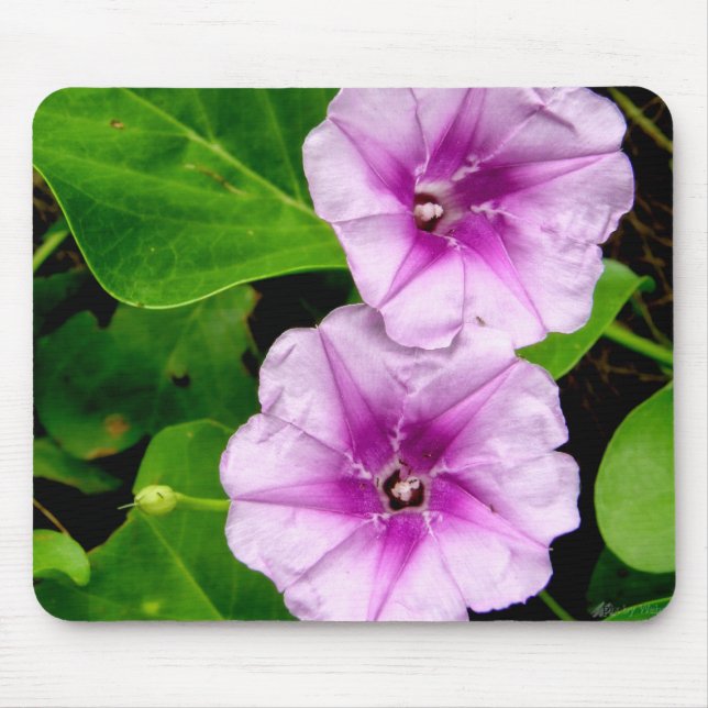 Mousepad Glória das Flores de Manhã (Frente)