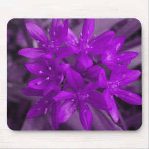 Mousepad Glória Do Bocal Roxo Da Neve
