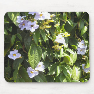 Mousepad Glórias da Manhã Delicadas