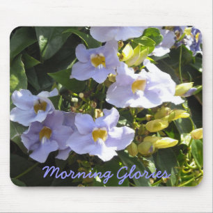 Mousepad Glórias da manhã tropical