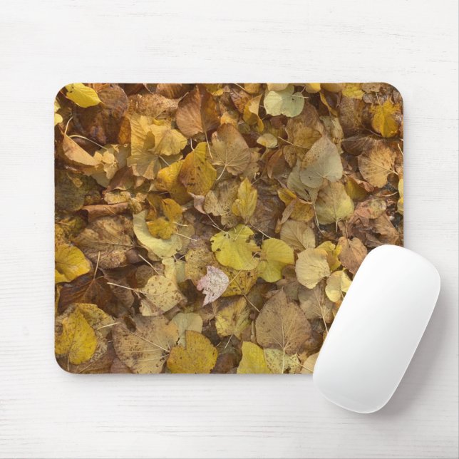 Mousepad Glorioso outono em um Pad de Mouse (4) (Com mouse)