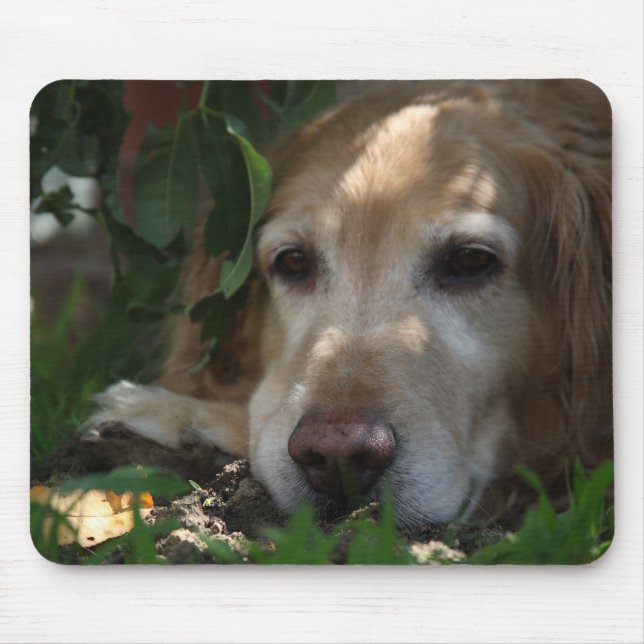 Mousepad Golden retriever (Frente)