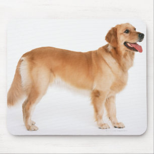 Mousepad Golden retriever