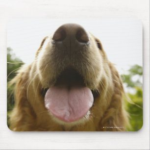 Mousepad Golden retriever 5