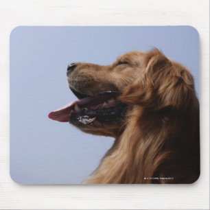 Mousepad Golden retriever 6