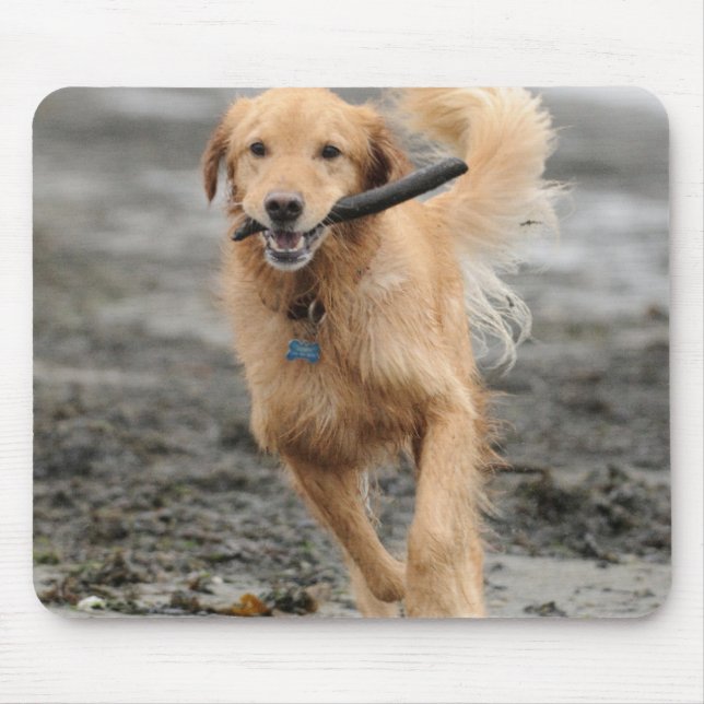 Mousepad Golden Retriever Correndo Com Pau Na Boca (Frente)
