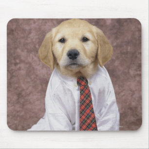 Mousepad Golden retriever; é um relativamente moderno e