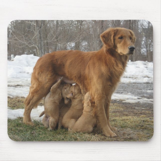 Mousepad Golden retriever Maia e filhotes de cachorro (Frente)