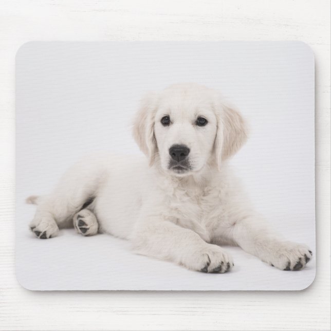 Mousepad Golden Retriever Puppy Photo (Frente)