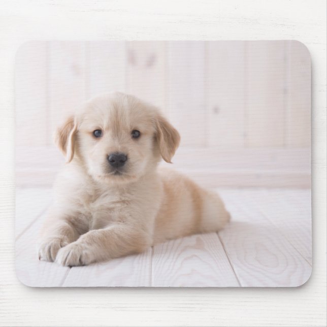 Mousepad Golden retriever que encontra-se para baixo (Frente)