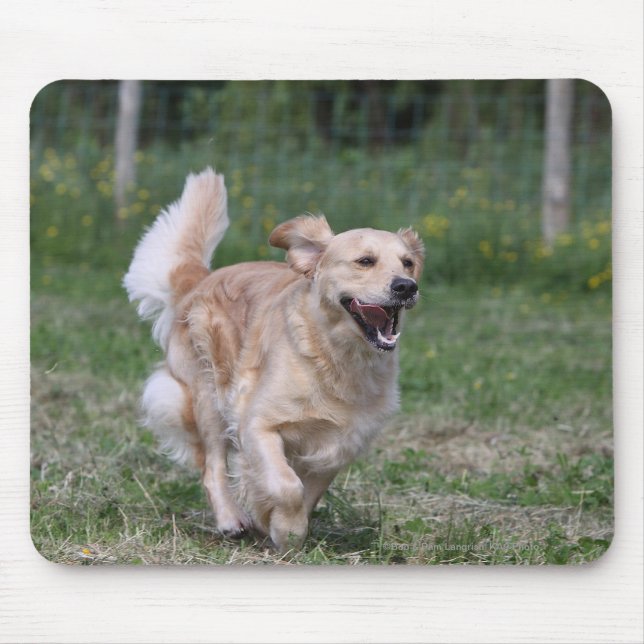 Mousepad Golden retriever que funciona 1 (Frente)