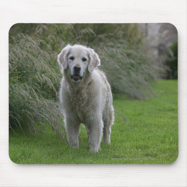 Mousepad Golden retriever que funciona 2 (Frente)