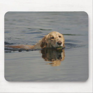 Mousepad Golden retriever que nada