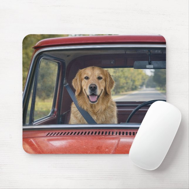 Mousepad Golden Retriever Usando Cinto de Segurança (Com mouse)